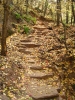 PICTURES/Oak Creek Canyon In October/t_Leafy Steps.jpg